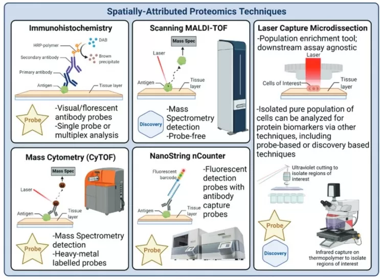 Spatially Resolved Tissue Proteomics Techniques (Liotta et al. Expert Rev Proteomics. 2021)